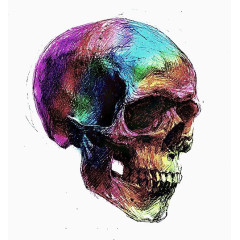 水彩骷髅头
