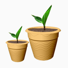 美人蕉盆栽种子萌芽免抠素材