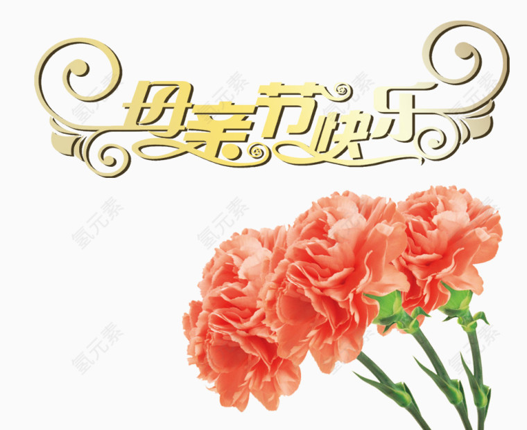 康乃馨母亲节