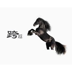 正在跨越的马儿