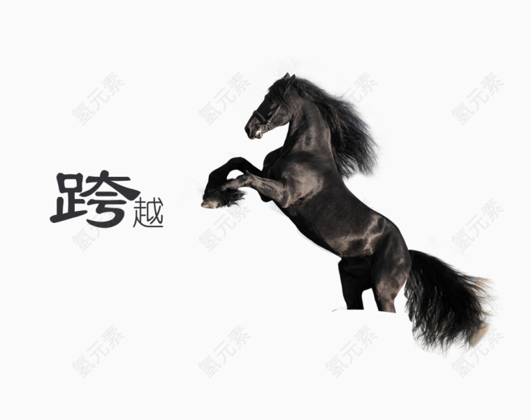 正在跨越的马儿