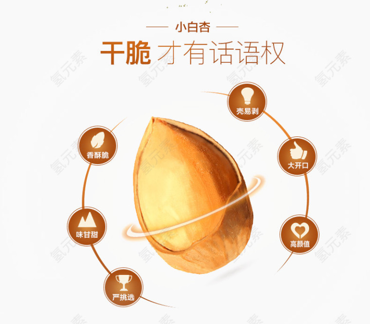 杏仁介绍图片
