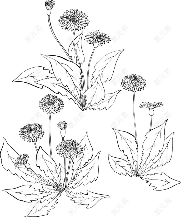 日本花草矢量素材