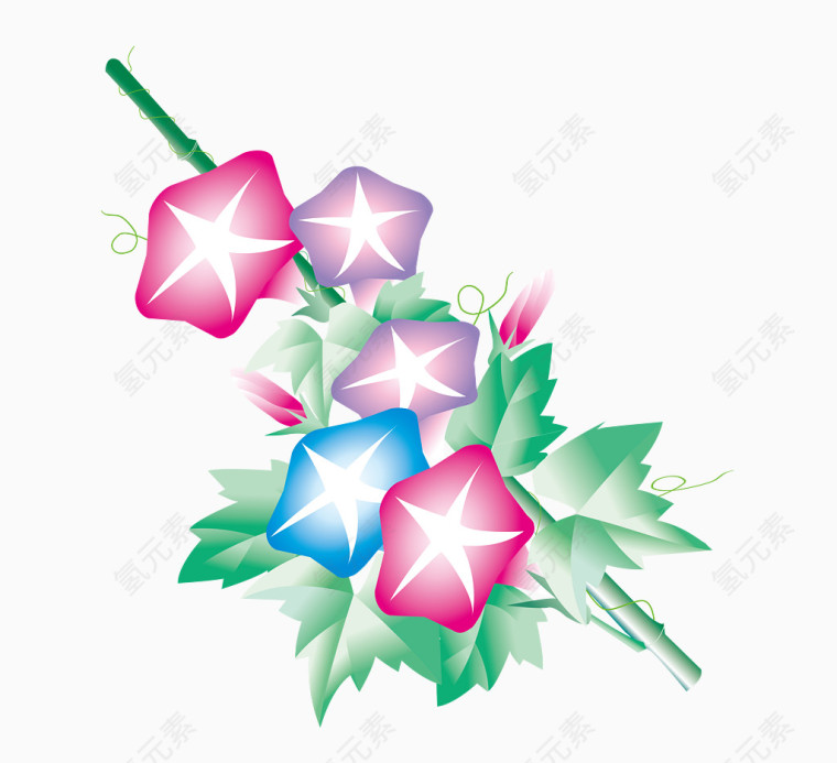 顺着竹竿的矢量牵牛花