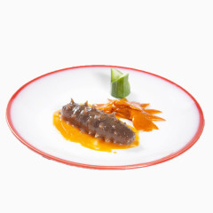 海参的免扣素材