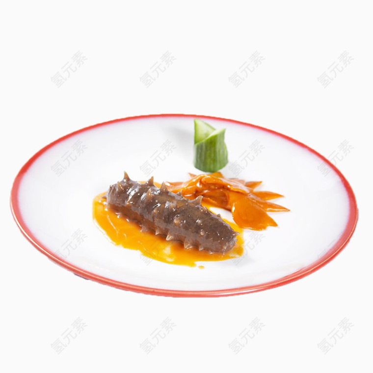 海参的免扣素材