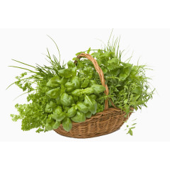 篮子里的中草药