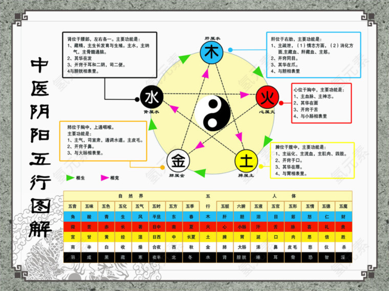 中医阴阳五行图图片