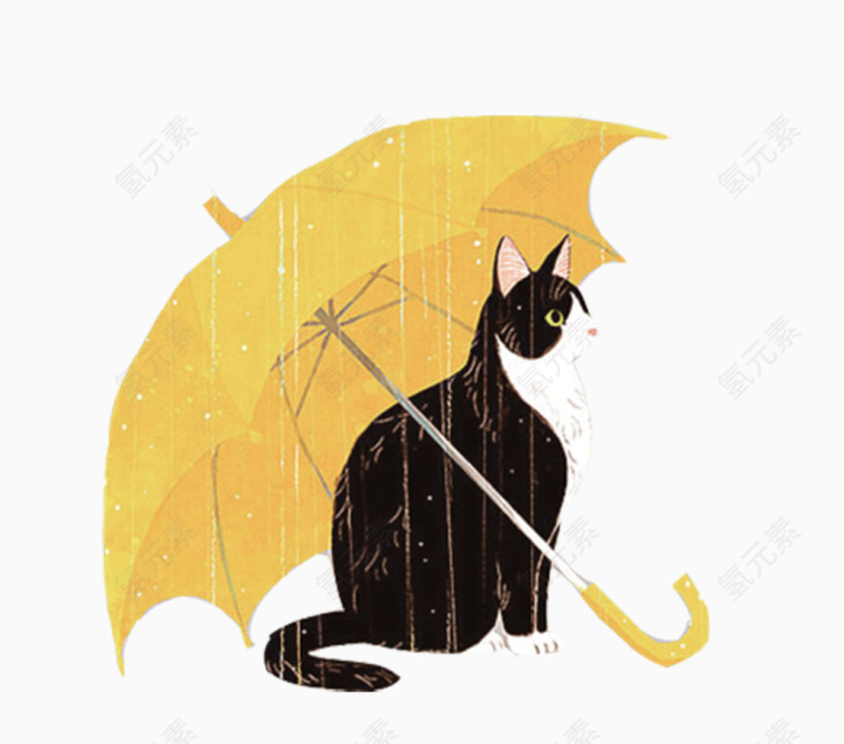 雨伞下的猫