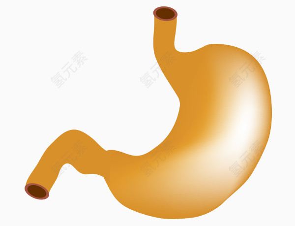 矢量内脏胃部