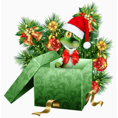 圣诞节礼盒