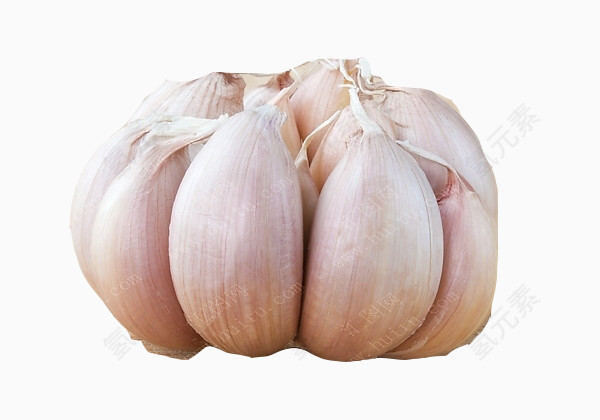 大蒜