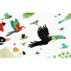 手绘鹦鹉小鸟背景