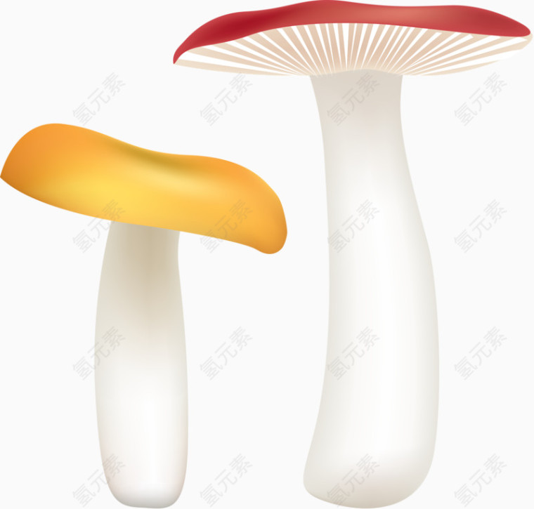 手绘蘑菇