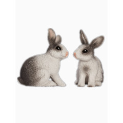 两只可爱小兔子