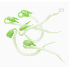 一堆新鲜的绿豆芽高清图