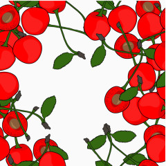 矢量车厘子素材