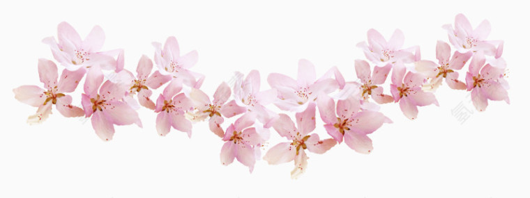 粉色小花