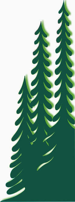 水果与巧克力的组合