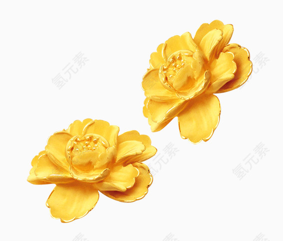金芙蓉
