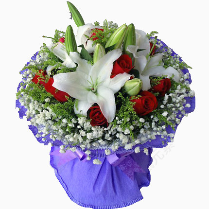 康乃馨鲜花