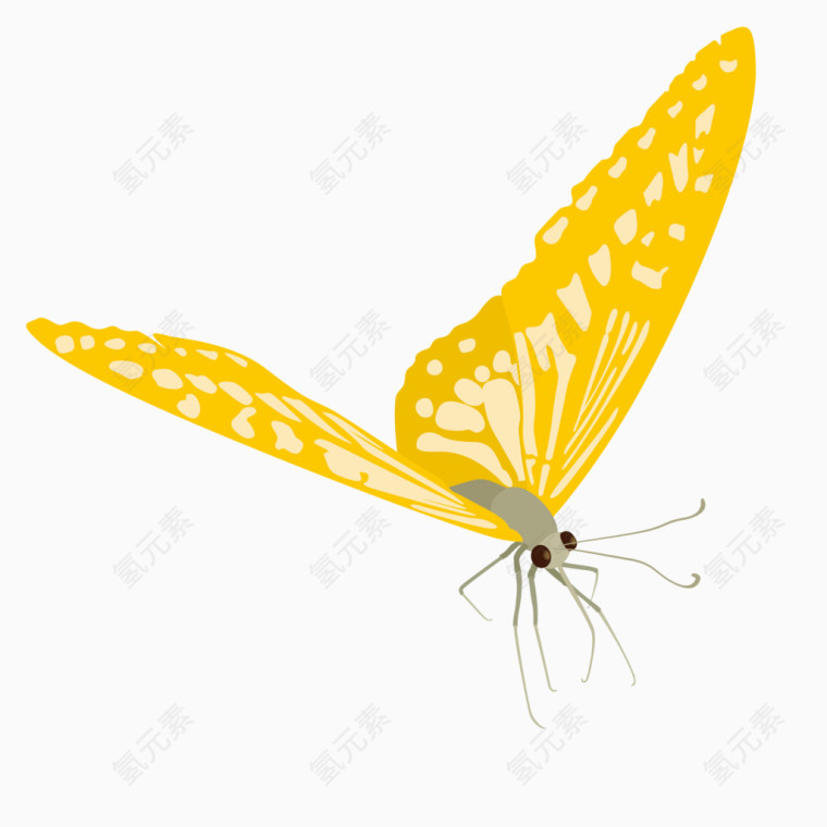 绚丽蝴蝶矢量素材