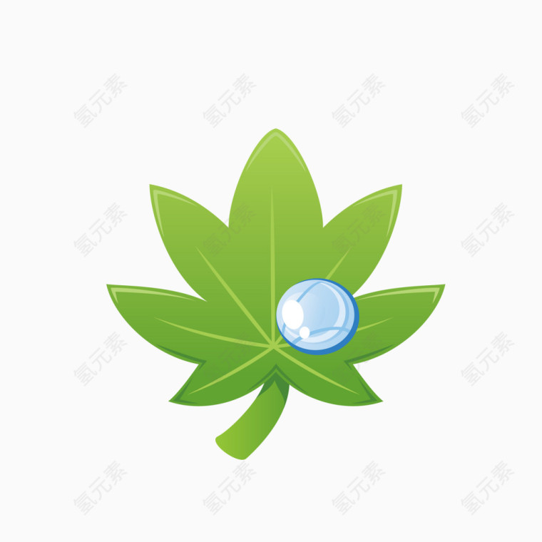 生态植物