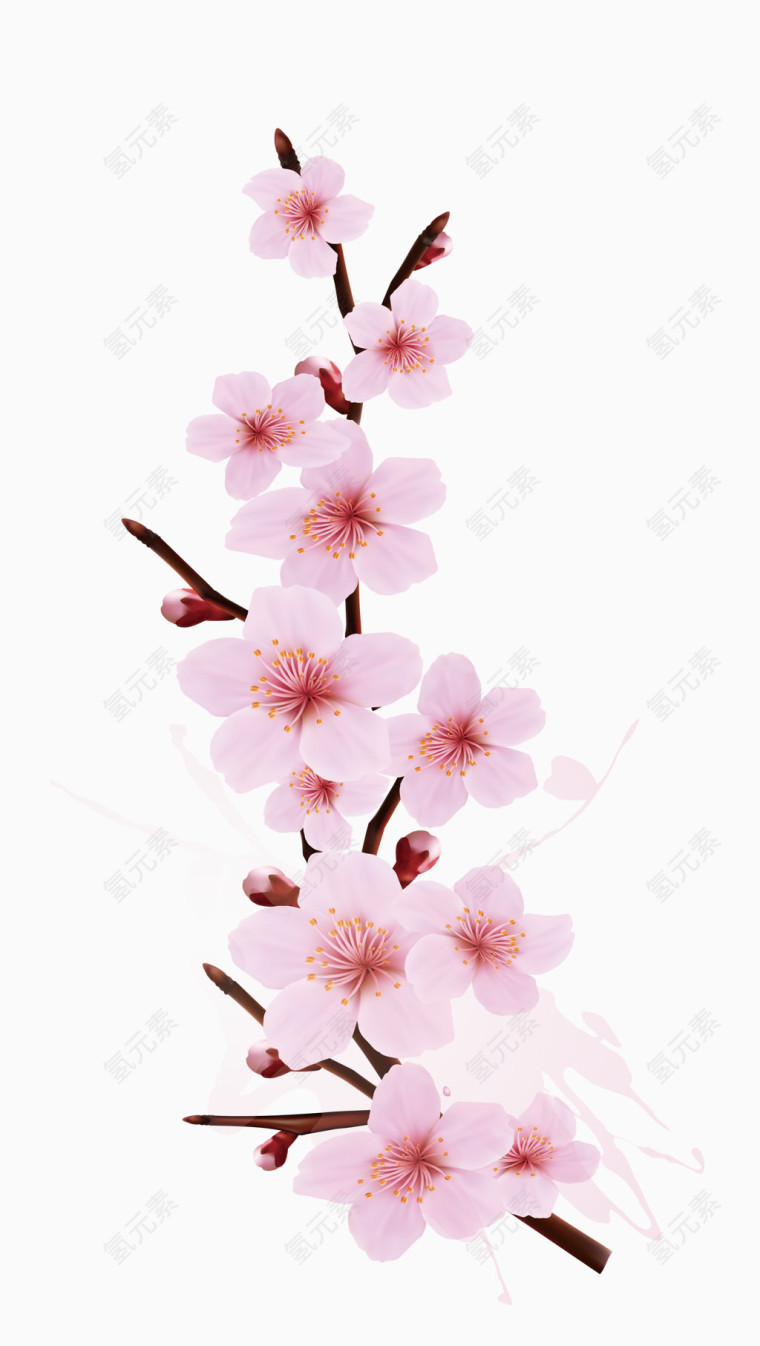 涂抹飞溅樱花设计