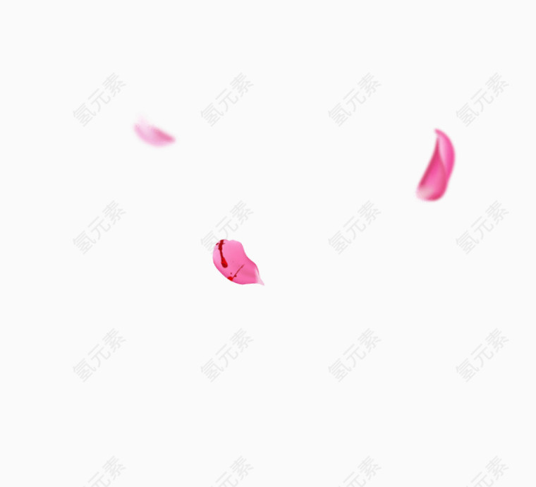 粉色玫瑰花瓣游戏装饰