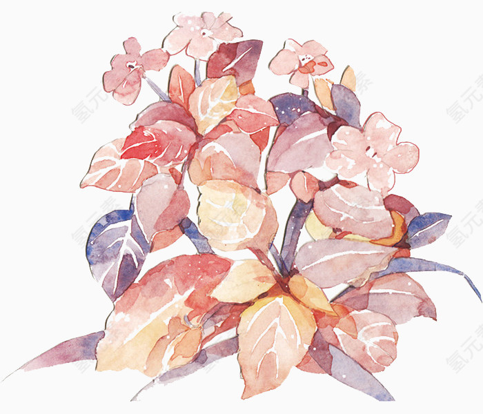 手绘东京樱花图片素材