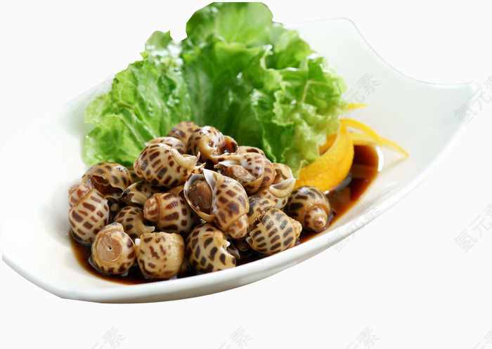 温式酒香花螺