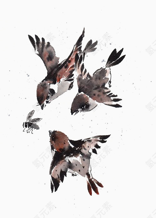 手绘水彩爱小鸟抢虫吃