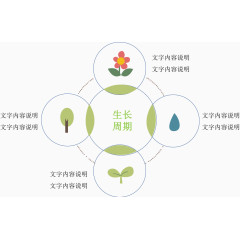 植物生长说明图