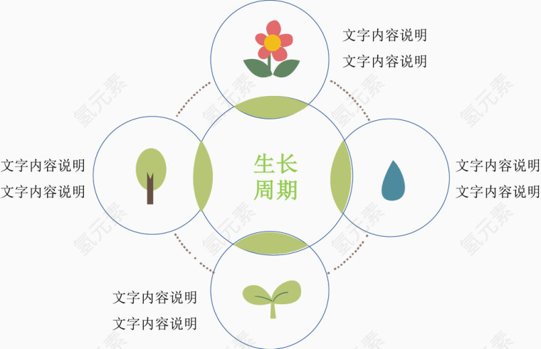 植物生长说明图