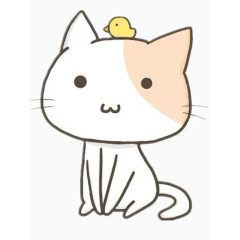 小鸡站在小猫咪头上