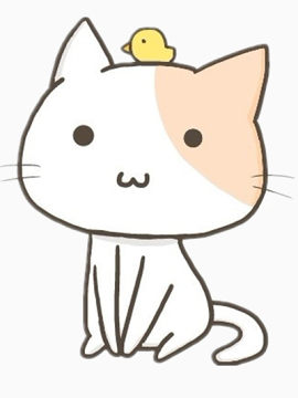 小鸡站在小猫咪头上