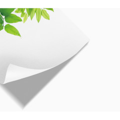 清新树叶少儿美术海报