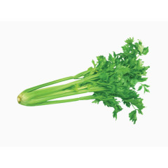 一把芹菜