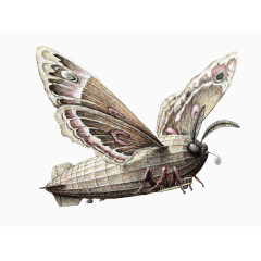 共混物插画设计创意