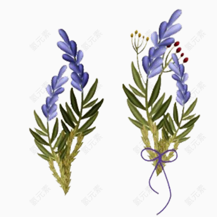 唯美紫色薰衣草免抠图