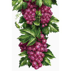 手绘文艺复兴风格草莓