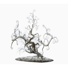 冬季落雪的枯树