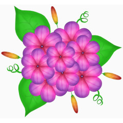 粉色花瓣
