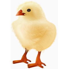 矢量黄色可爱小鸡素材