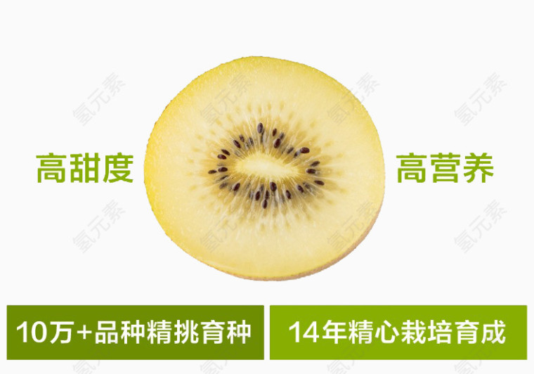 高营养奇异果