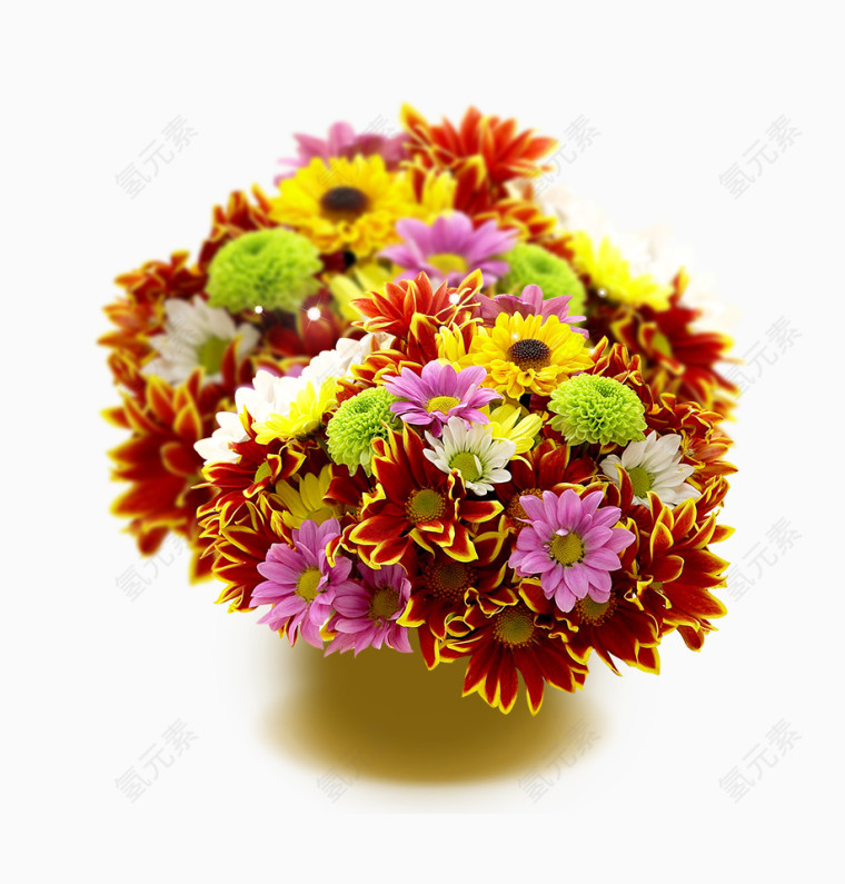 菊花摆设