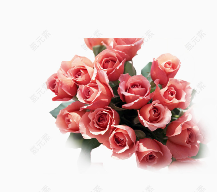 唯美精美玫瑰花情人节花朵花束