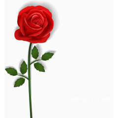 美丽红色玫瑰花枝矢量素材