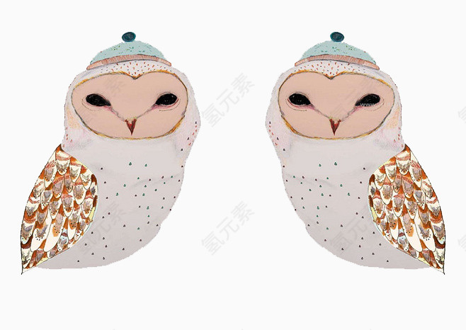 一对猫头鹰