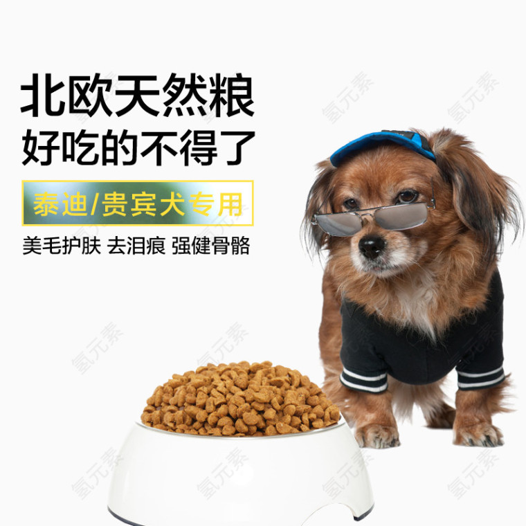 宠物犬天然粮